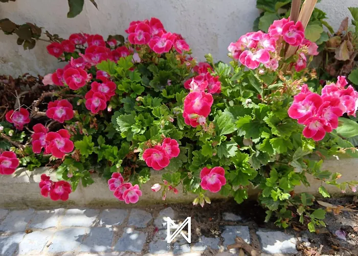 Mystay - Casa Sete Lano Apartment *