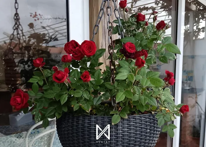 Apartment Mystay - Casa Sete Lano Pedrogao (Leiria)